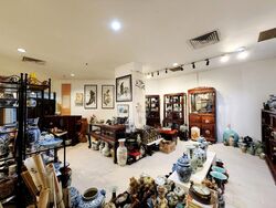 Balestier Point (D12), Shop House #520957081